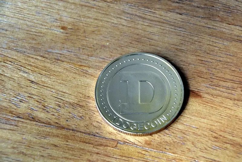 Dogecoin coin